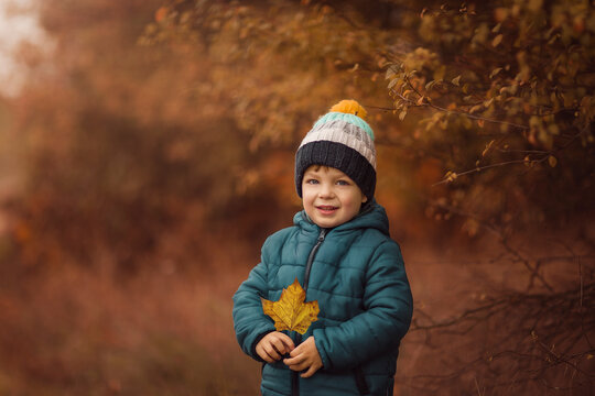 Small boy in blue jacket and hat in forest holding orange leaf o