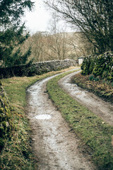 Fototapeta na wymiar A quiet farm path in the English countryside