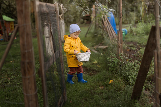 Boy in yellow raincoat walking with white basket in garden