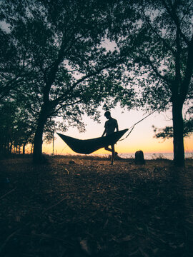 hammock