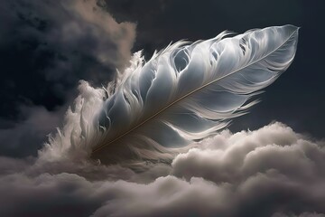 beauticul feather in  the cloud