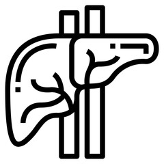 liver line icon style