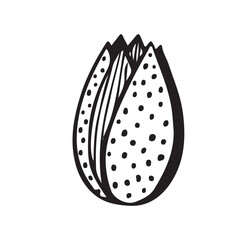 Abstract tulip vintage folk mini flowers garden plants isolated on white background. Vector illustration