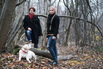 Obraz premium Young girl on a walk in the autumn