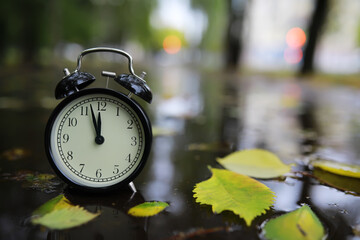 alarm clock on autumn leaves on natural background