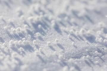 Obraz premium Close-up macro photo of graupel snow, also called soft hail, hominy snow, or snow pellet.