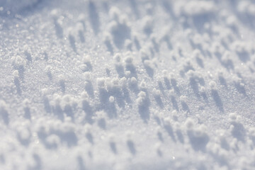 Close-up macro photo of graupel snow, also called soft hail, hominy snow, or snow pellet.