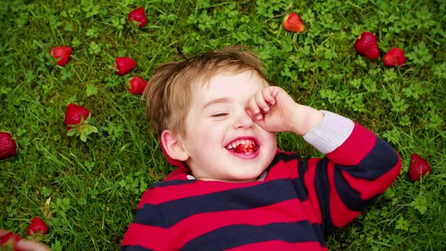 Little boy lying on grass and eating strawberries