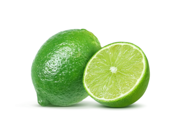 ライム イラスト リアル