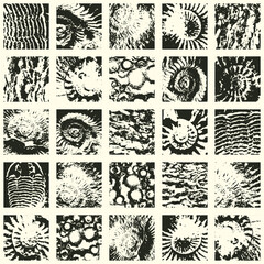 vector abstact seamless pattern background with sea stone texture with imprints of ancient ammonite shells. Suitable for wallpaper design, wrapping paper, fabric, ceramic tiles © paseven
