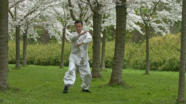 Middle age chinese man in kimono practicing kung-fu in park.