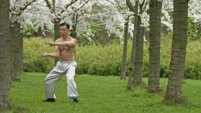 Topless chinese man practicing kung-fu in cherry orchard.