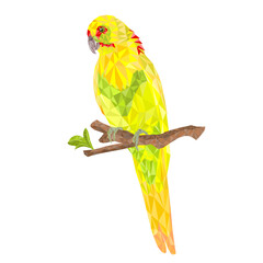 Parrot in Yellow bird Indian Ringneck Parrot alexander polygons on branch  on a white background vintage vector illustration editable Hand draw