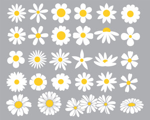 Daisies clipart. Collection of cute round daisies. Simple design. Vector graphics.