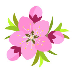 Decorative Illustration of Peach Blossoms and Leaves