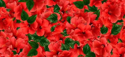 red floral with green leaves abstract background 