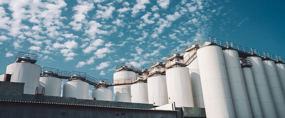 Agricultural silos. Storage and drying of grains, wheat, corn, soy, sunflower. Industrial building exterior. Big metallic silver containers close-up. Background of agricultural tanks with copy space. © Daniil