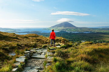 Fototapeta na wymiar View north west from Diamond Hill above Connemara National Park Visitor Centre toward Tully Mountain, County Galway, Ireland. Woman walking dog on path