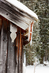 icicles hanging of wooden cabin