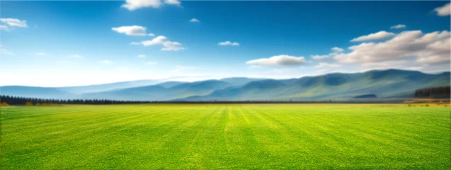 Zelfklevend Fotobehang Panoramic natural landscape with green grass field, blue sky with clouds and and mountains in background. Panorama summer spring meadow. Shallow depth of field. © Laura Pashkevich