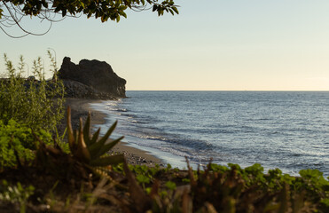 beach with holas and rocks in the background blue sky and plants in the foreground with slight blur with space for tex © jose