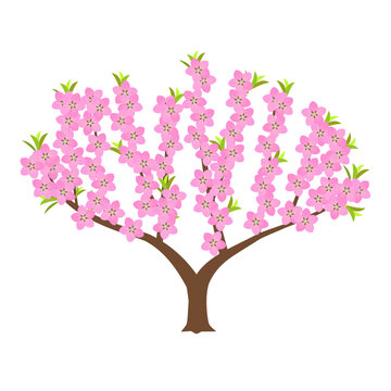 pink flowering tree on white background clip art preview