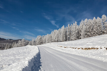 Fototapeta na wymiar A picturesque winter road in the Altai mountains on a sunny day. Altai Republic, Russia