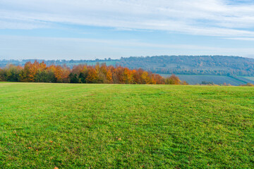 Fototapeta premium Lullingstone Country Park in autumn colours, Kent, UK
