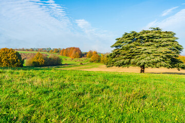Lullingstone Country Park in autumn colours, Kent, UK