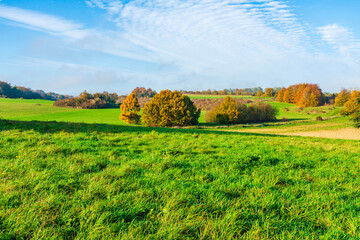 Lullingstone Country Park in autumn colours, Kent, UK - obrazy, fototapety, plakaty