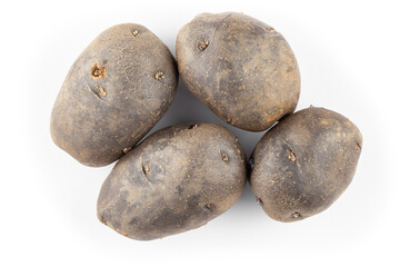 Vitelotte potatoes. Raw unpeeled purple potatoes isolated on white background, full depth of field.