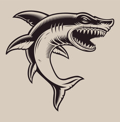 Vector illustration shark