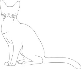 Cat Outline