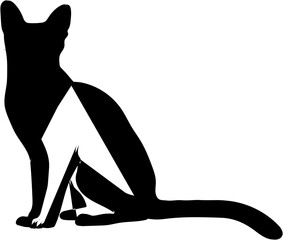 Cat Outline