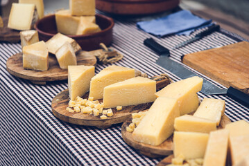 Variety of delicious cheese at the local market.