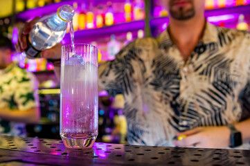 Obraz na płótnie Canvas man bartender making cold gin tonic cocktail in bar