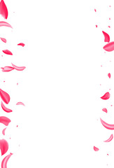Delicate Sakura Flying Vector White Background.