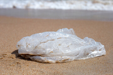 Plastic bag pollution on the beach