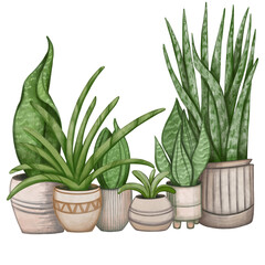 herbs in a pot. Color illustration of vases. A set of green flower pots. Illustration for a sticker, poster, sublimation.