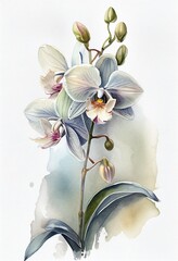 Watercolor painting of blooming orchid flowers, Generative AI