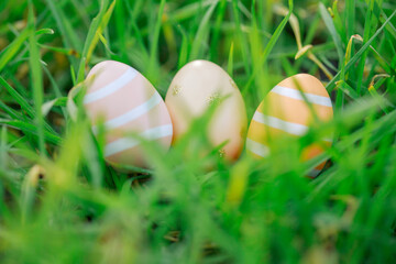 Easter eggs in green fresh grass, beautifully painted eggs for Easter holiday. Spring.
