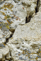 Big deep ascending crack on old moss-covered wall. Close-up. Copy space. Selective focus.
