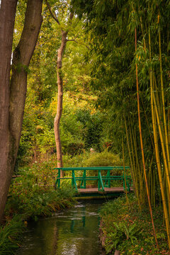 Lake in the park, France, Normandy