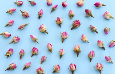 top view of dry roses flowers over blue pastel background