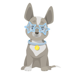 Fototapeta na wymiar Cute dog sits in blue glasses stars