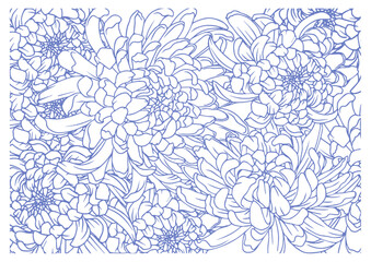 Hand drawn chrysanthemum flower pattern background vector