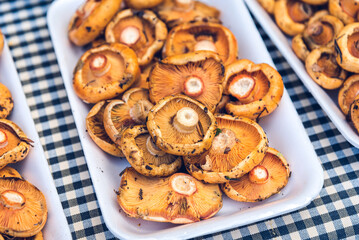 Red pine mushrooms on a plate.