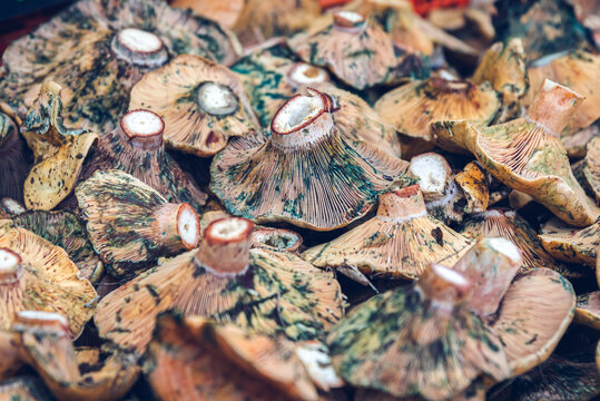 Delicious pine mushrooms at the market.