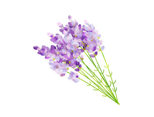 ラベンダーの花束をイメージしたイラスト