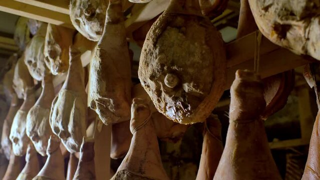 tasty ham hanging to season